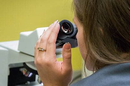 Veterinary Diagnostics in Westside Atlanta, GA .